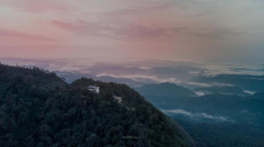 Гостиница Forest County,Munnar  Муннар